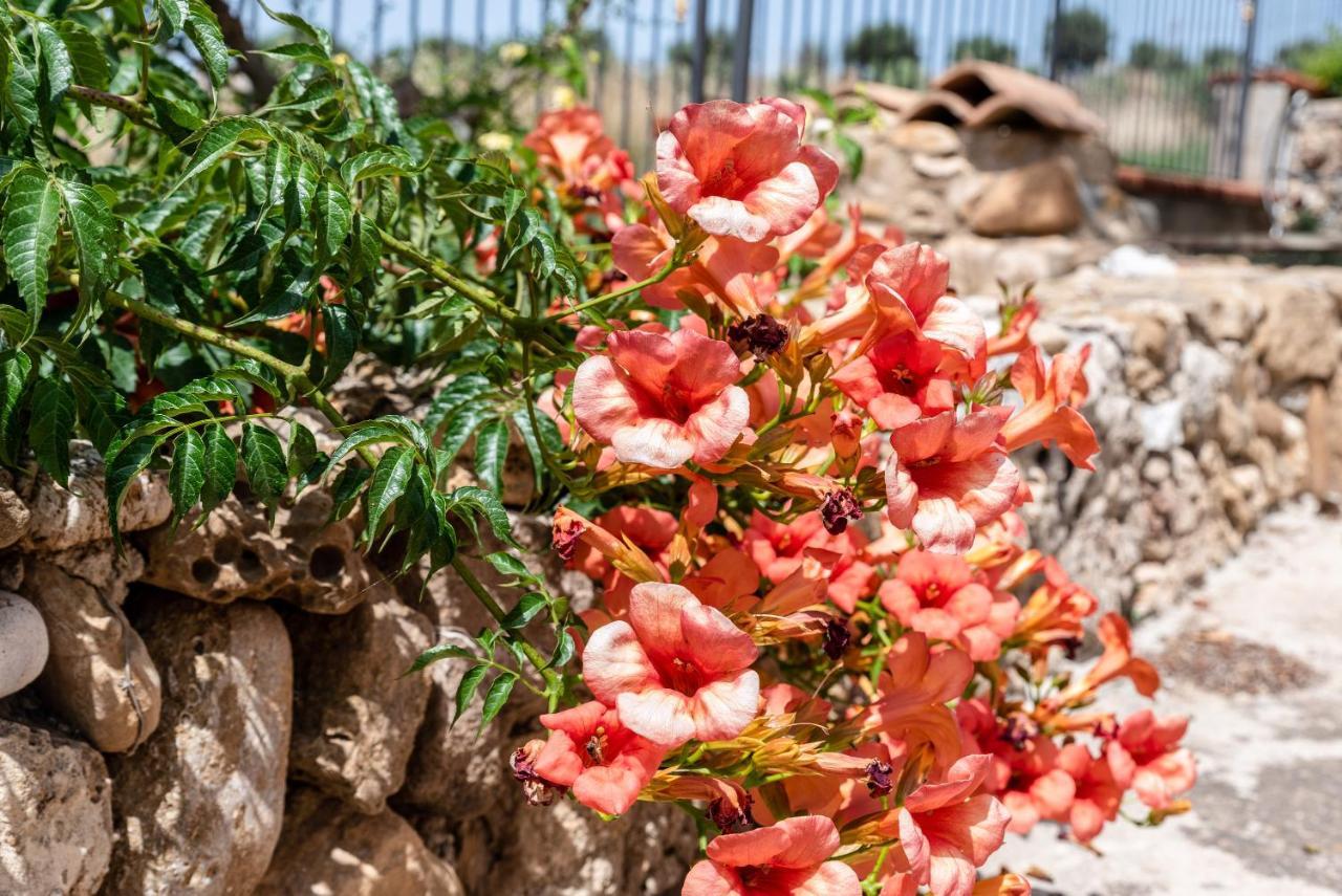 מונטאלגרו Villa Tre 'S' מראה חיצוני תמונה